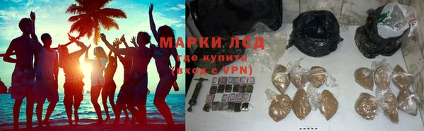 прущие грибы Алексеевка