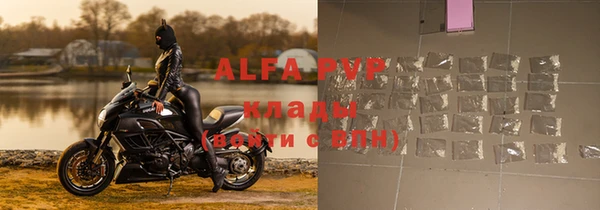 крисы Алзамай