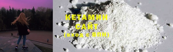 крисы Алзамай