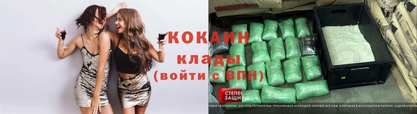 прущие грибы Алексеевка