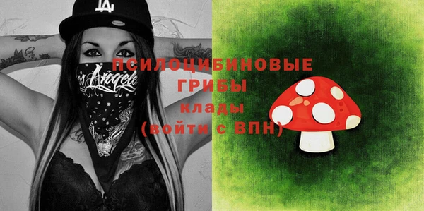 прущие грибы Алексеевка