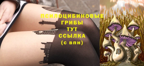 крисы Алзамай