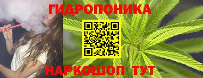 ГАЛЛЮЦИНОГЕННЫЕ ГРИБЫ Камышлов