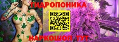 MESCALINE Кандалакша