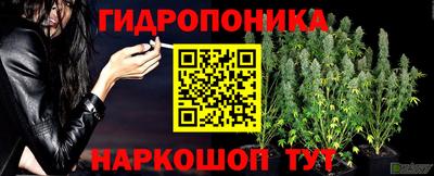 MESCALINE Кандалакша
