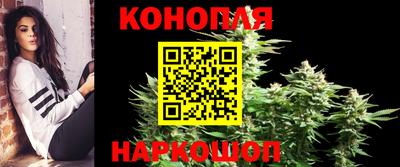 ГАЛЛЮЦИНОГЕННЫЕ ГРИБЫ Камышлов