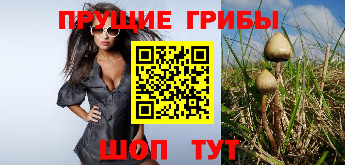 купить наркоту  Галлюциногенные грибы мицелий  Галлюциногенные грибы Magic Shrooms  Вход с VPN  Мирный 